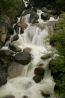 Cascade Creek.jpg